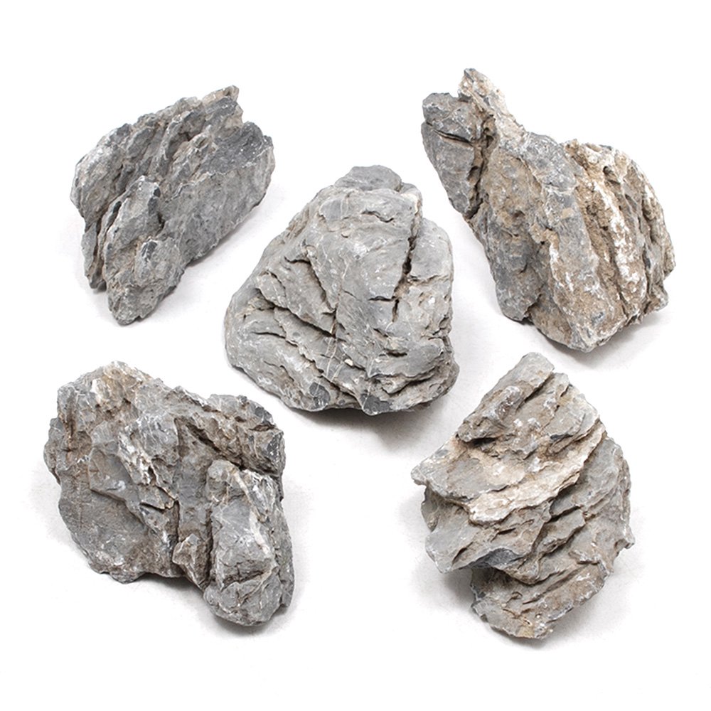 形状お任せ　青龍石　Ｍサイズ（約１３ー１８ｃｍ）　５個　アクアリウム　レイアウト素材　ＣＲＣ21―20―99―10―00