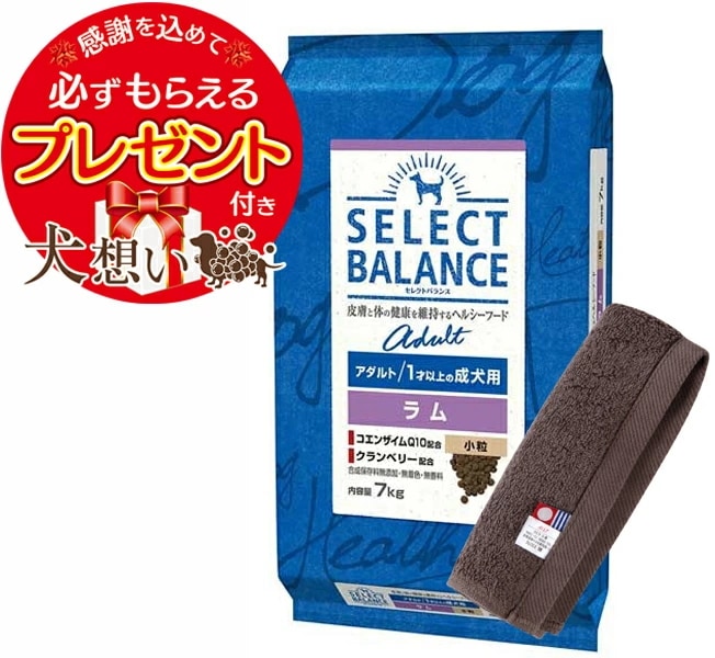 【プレゼント付】セレクトバランス アダルト ラム 小粒 １才以上の成犬用 7kg【犬想いオリジナル今治ハンドタオルセット】【タオルカラー モカ】【正規品】