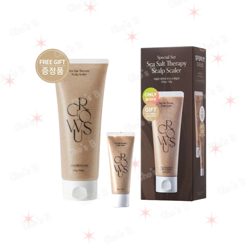 シーソルト頭皮スケーラー 大容量 250g + 30g 企画