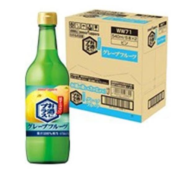 果汁割材 お酒にプラス グレープフルーツ 540mL× 12本入