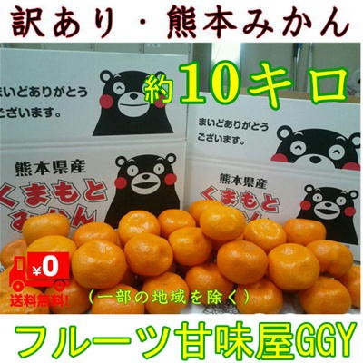 【暴走企画！】みかん　訳あり　熊本産　１箱　箱...のサムネイル