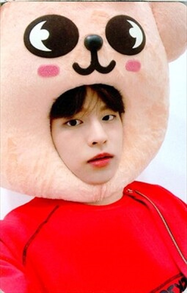 StrayKids スキズ 公式グッズ NOEASY トレーディングカード Seungmin （スンミン）