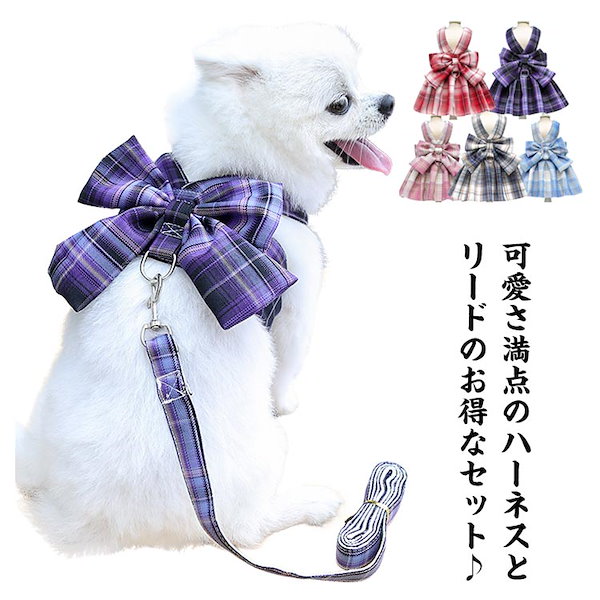 犬 販売 ハーネス 女のこ