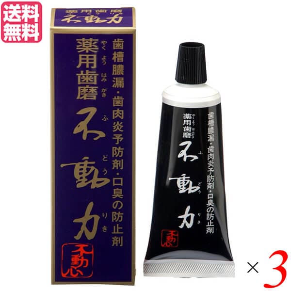 歯磨き ハミガキ 歯磨き粉 美の友 薬用自然派はみがき 不動力 80g 医薬部外品 3個セット