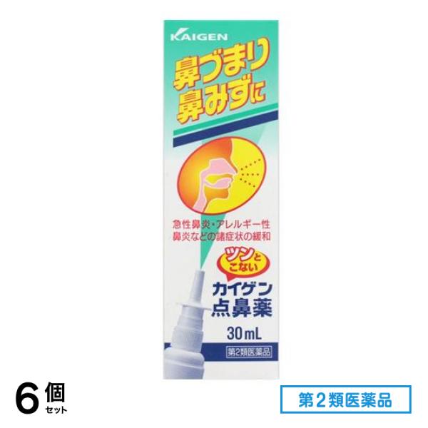 第２類医薬品 カイゲン点鼻薬 30mL 6個セット