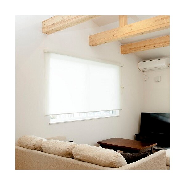 Fullness L3561 RSエクシヴ 135X220 F OW 防炎オフホワイト カバー付ロールスクリーン 防炎無地タイプ 135×220cm メーカー直送カーテン
