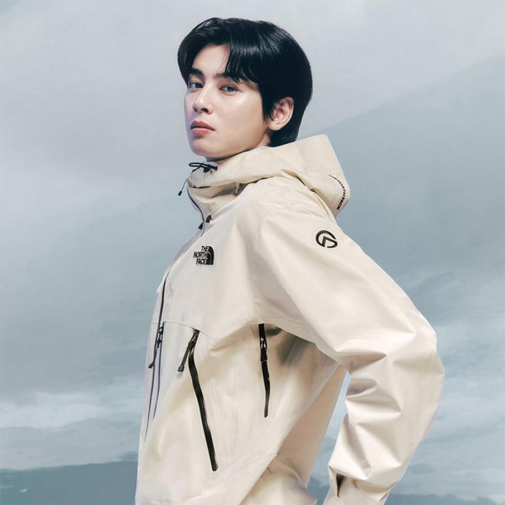 ノースフェイス フェリックス ゴアテックス ジャケット NJ2GQ03B