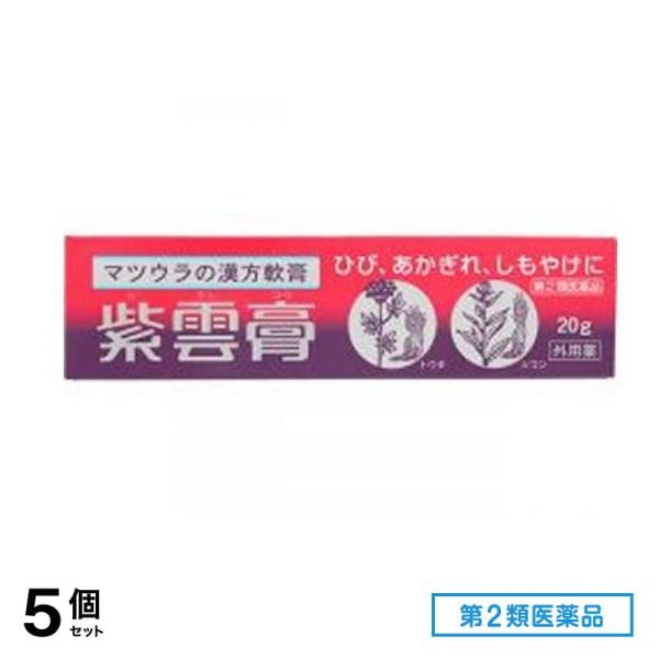 第２類医薬品 松浦漢方 紫雲膏 20g (チューブ) 5個セット