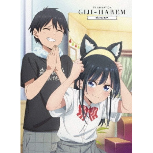 TVアニメ「疑似ハーレム」Blu-ray BOX(Blu-ray Disc) (Blu-ray) PCXP-51070