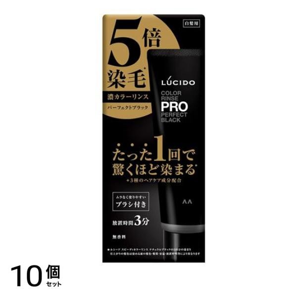 LUCIDO ルシード カラーリンスPRO パーフェクトブラック 120g 10個セット