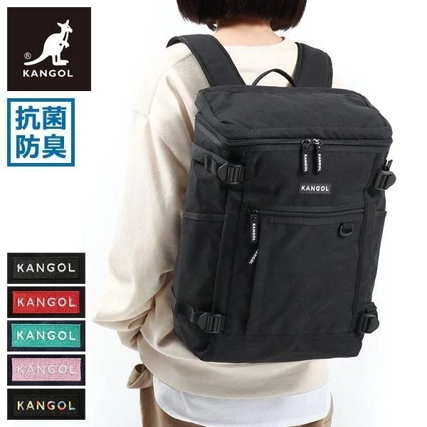 リュック Alterna デイパック バックパック スクエア 抗菌 防臭 軽量 大容量 25L A4 B4 13.3インチ ノートPC 通学 販売店限定色 250-1291