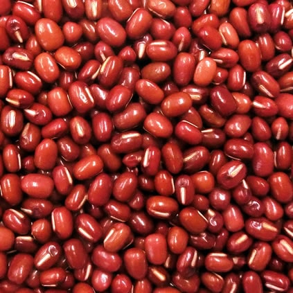 小豆 北海道産 5kg 5,130円