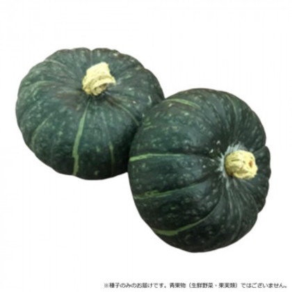 小林種苗 カボチャ種子 ほっくりはん 8143 500粒