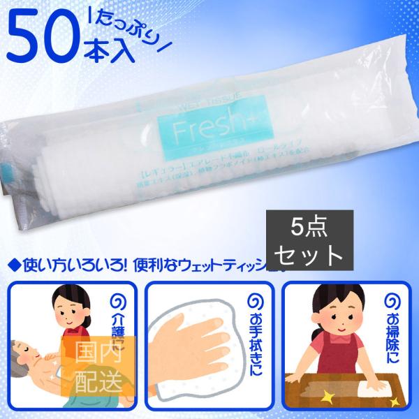 フレッシュプラス ウェットティッシュ からだ拭き エアレード不織布 レギュラーサイズ 50本入 x10個セット