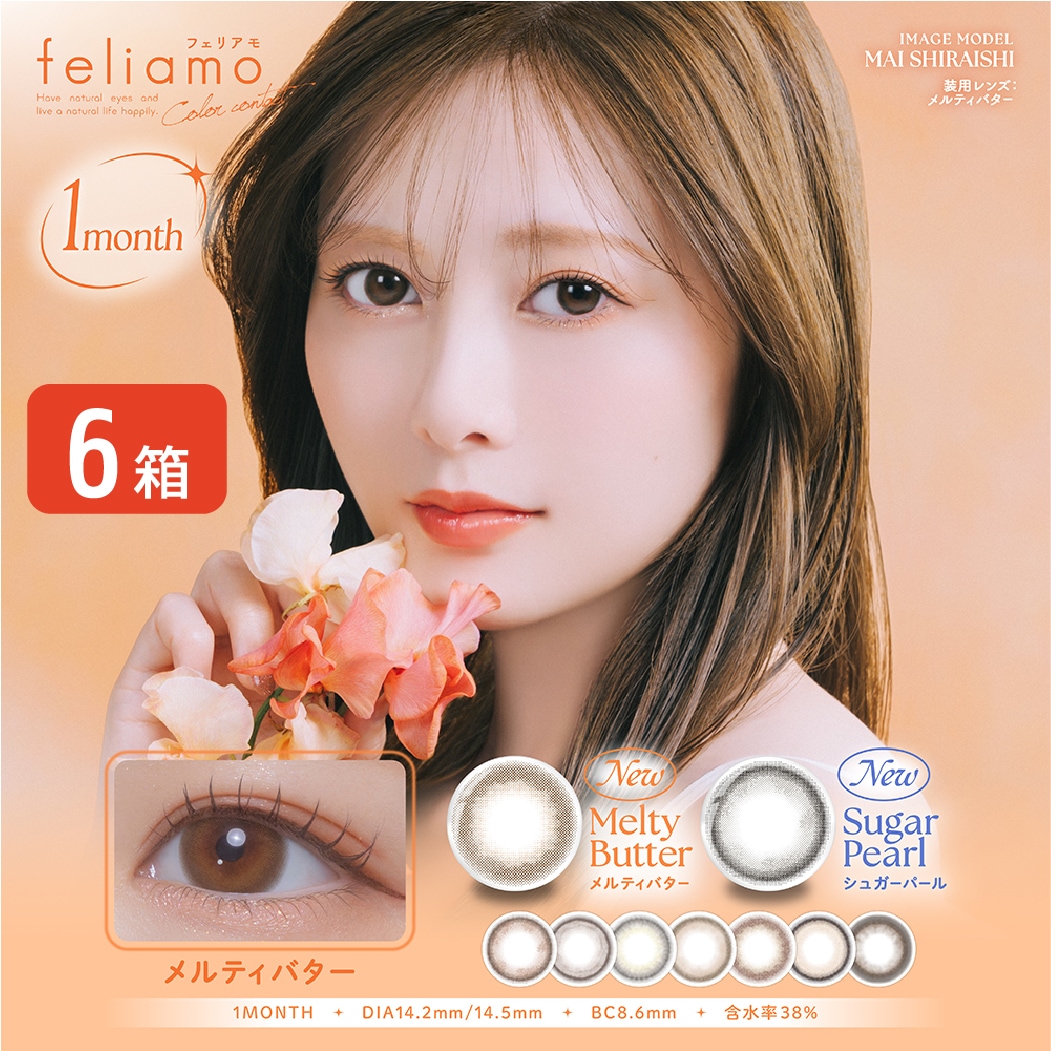 【ゆうパケット発送】 フェリアモ feliamo 1MONTH 6箱セット (1箱2枚入り) UVカット カラコン 1ヶ月 ワンマンス ナチュラル カラーコンタクト 度あり 度なし