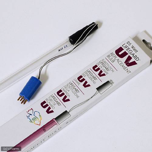 交換球　レインボーライフガード殺菌灯　ＱＬ－２５　専用交換ランプ　２５Ｗ　ＣＲＣ10―65―30―10―40