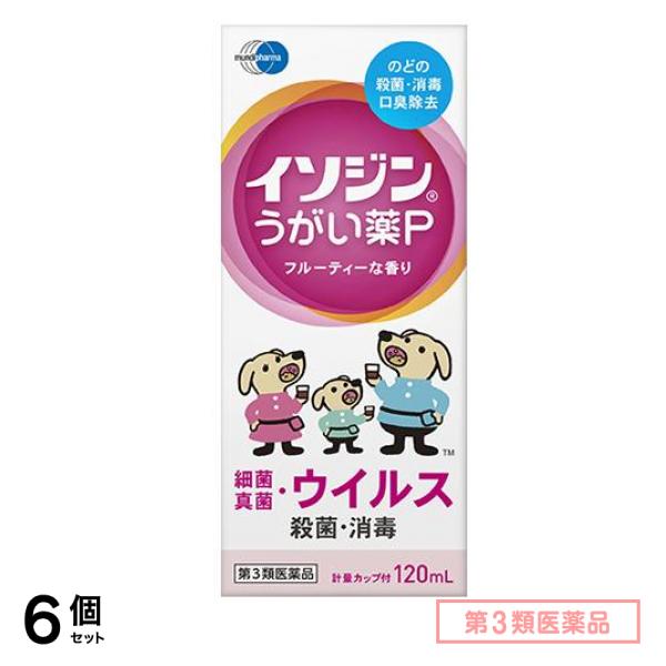 第３類医薬品 イソジン うがい薬P 120mL 6個セット