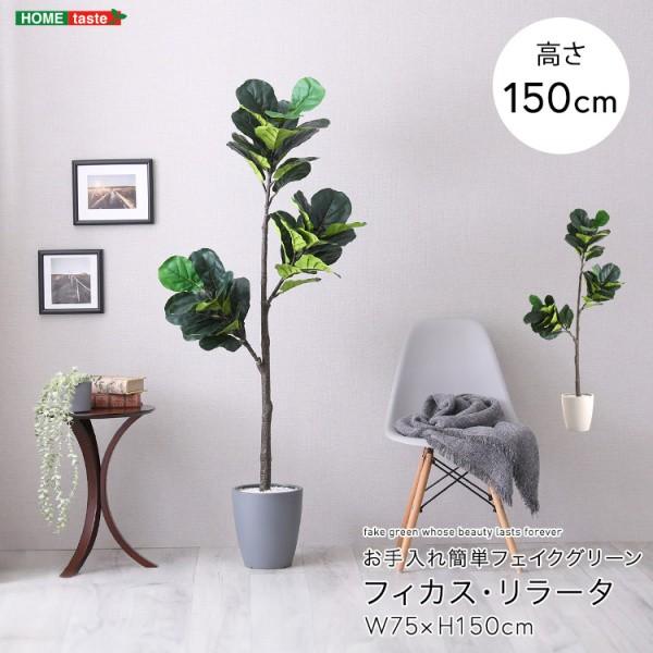 人工観葉植物 フィカス・リラータ 高さ150cm Mサイズ フェイクグリーン お手入れ簡単 観賞用造花 観葉植物 室内ガーデン グリーン