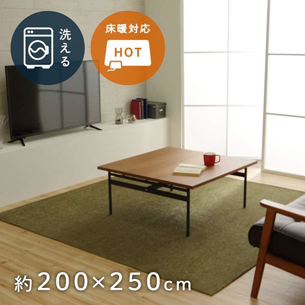 1292340126502 ラグ 洗える 無地カラー モデルノ グリーン 200×250cm メーカー直送