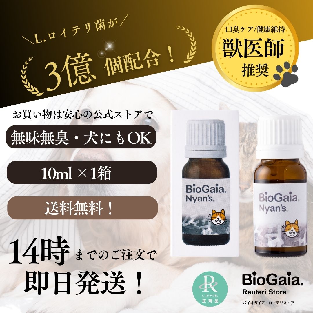 【公式ストア 即日発送】ニャンズ Nyans 10ml（猫用 犬にも使用可）無味無臭 リキッド サプリメント 口臭 便秘
