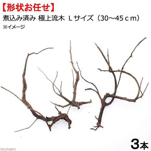 形状お任せ　煮込み済み　極上流木　Ｌサイズ（約３０ー４５ｃｍ）　３本　アクアリウム　レイアウト素材　流木　ＣＲＣ21―10―40―30―00