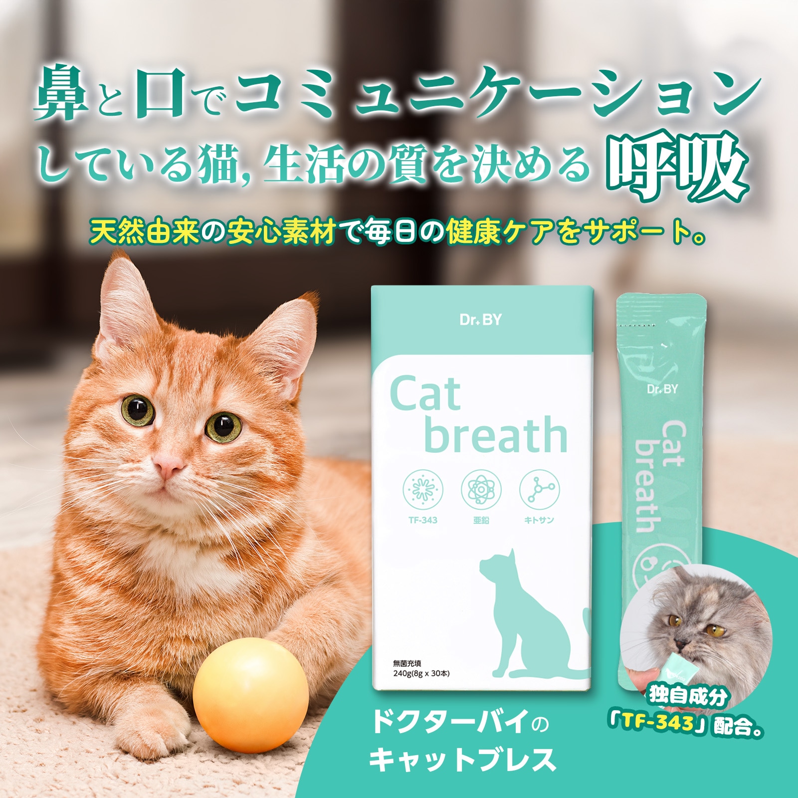 ドクタースタイル 12粒 サプリメント Qoo10] ドクターバイ [公式]【獣医共同開発】ドクターバイ キ