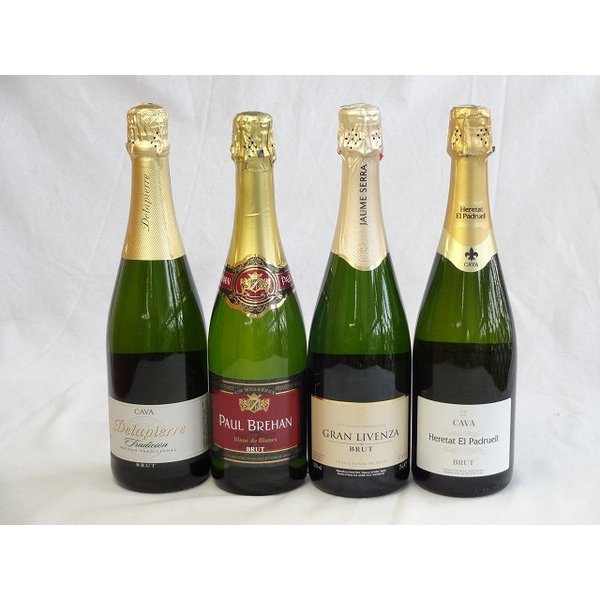 スパークリングワイン白辛口豪華4本セット ハウメセラ ブリュット スペインスパークリングワイン75 5,382円