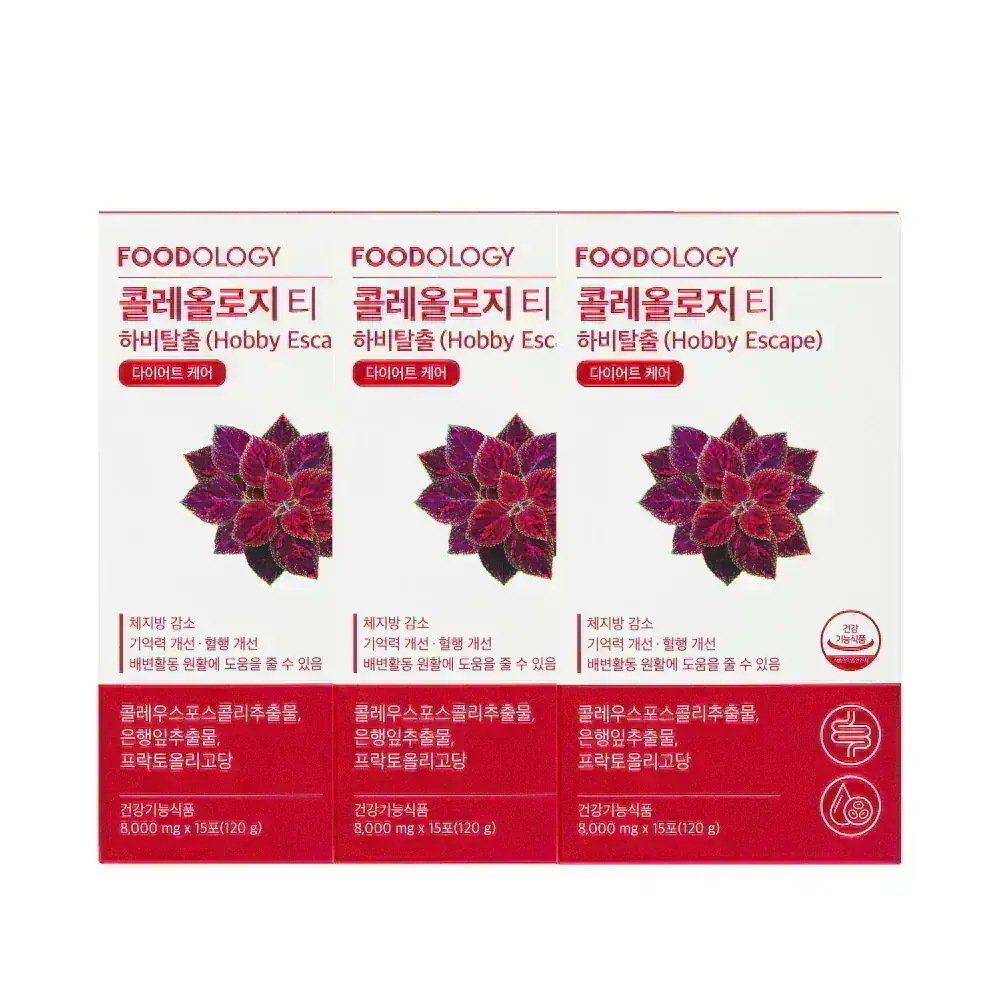 Qoo10] FOODOLOGY 【リピセット】【食後ダイエットサポート】 : ダイエット