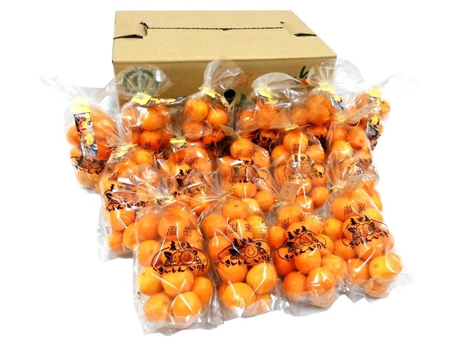 鹿児島県入来産 =完熟きんかん いりき= 秀品 L-3Lサイズ 約250g x15pc 予約 12月以降 6,943円