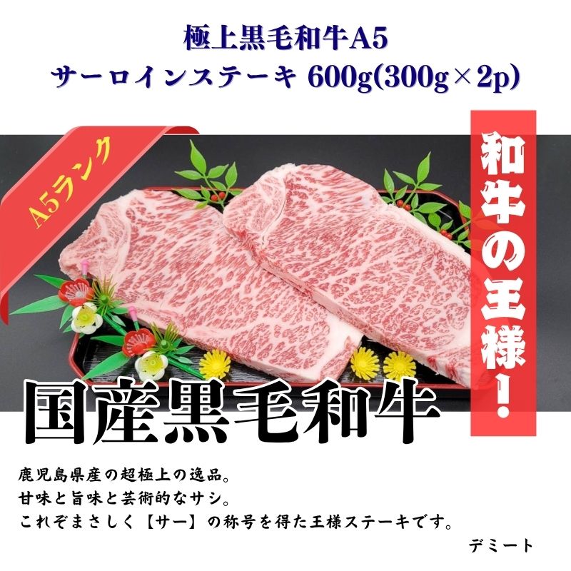 極上黒毛和牛 A5サーロインステーキ 600g(300g×2p)