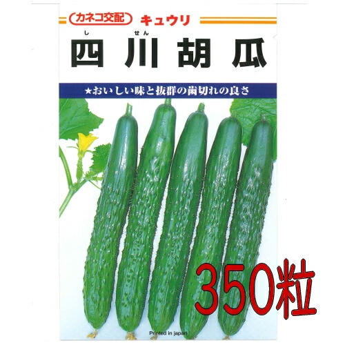 カネコ種苗　四川胡瓜　３５０粒