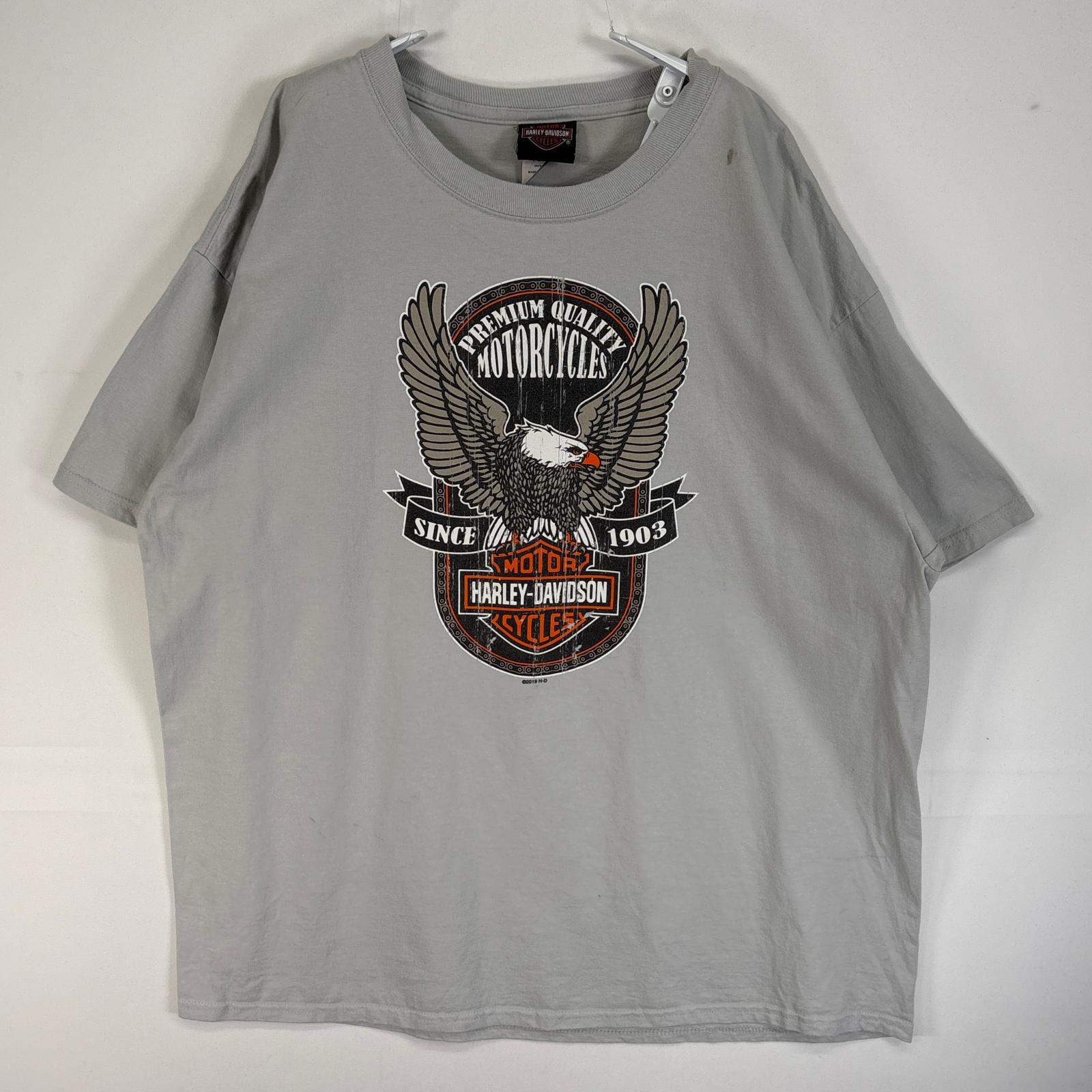 古着 半袖Tシャツ 肉厚 大きいサイズ モーターカルチャー インディアン XL グレー系 両面プリント メンズ