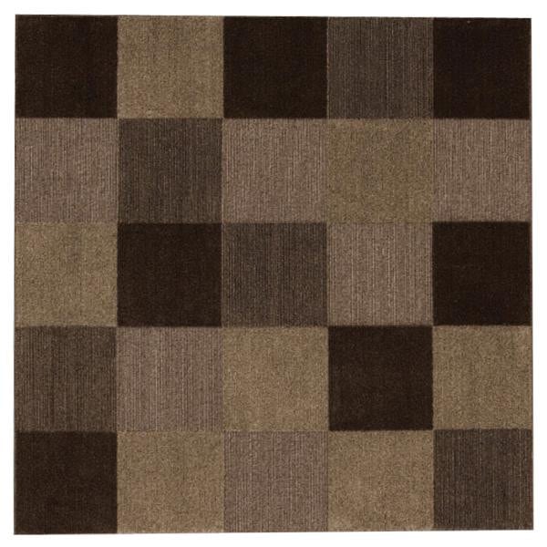 アスワン ムシカビクリーンカーペット(防虫・防ダニ・防カビ・抗菌) スーパープルーフ 190×240cm BR・ブラウン CA613385