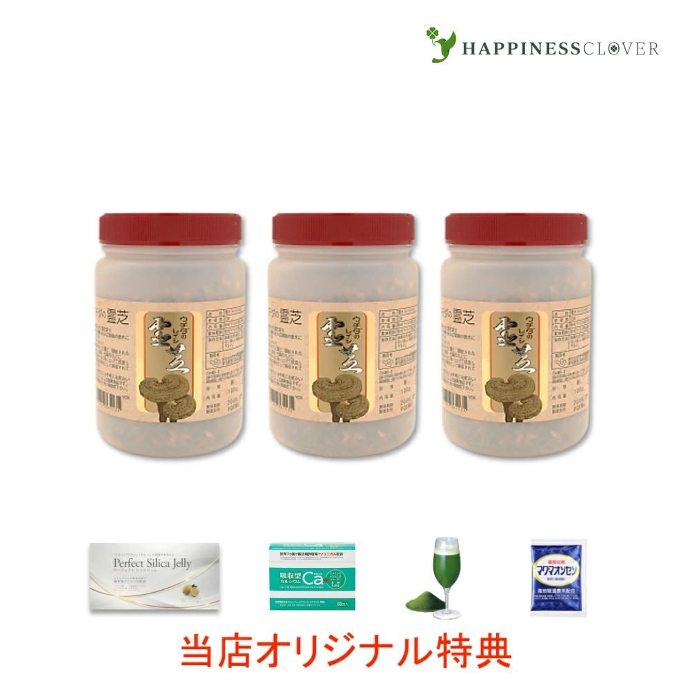 【選べるおまけ付き】【3個セット】霊芝エキス 顆粒 500g れいし ウチダ和漢薬