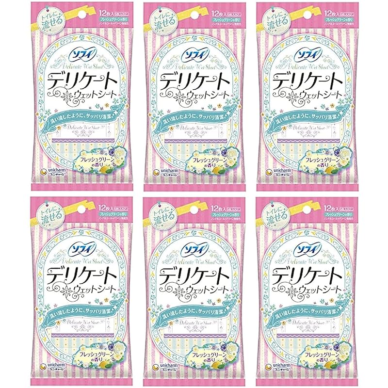即納ソフィ デリケートウェット グリーンの香り 6枚×2個入×6個