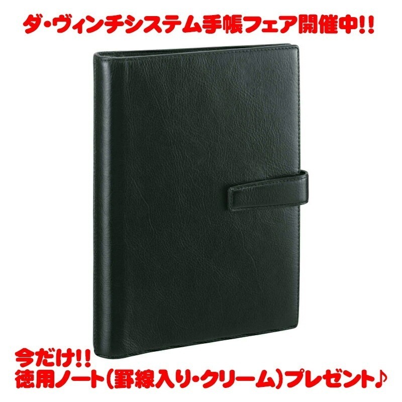 【ラッピング無料】【名入れ可(有償)】 レイメイ藤井 Raymay ダヴィンチ ダヴィンチ ブラック A5 システム手帳 リング20mm ビジネス スタンダード スーパーロイスレザー ダブルホックタ
