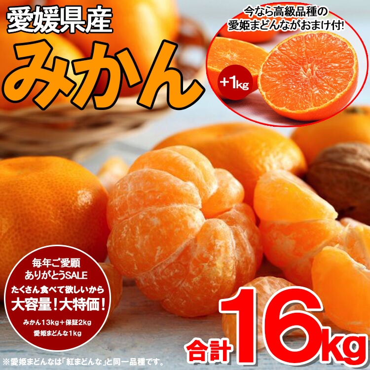 お気に入り 紅まどんな あいか 紅まどんな同品種 化粧箱 約3kg 糖度センサー 約14度 ギフト お歳暮などに gts.com.pe