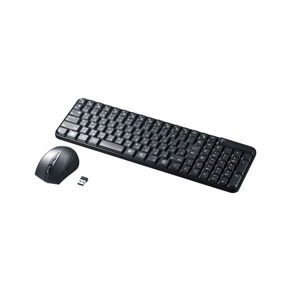 マウス付きワイヤレスキーボード SKB-WL25SETBK ブラック