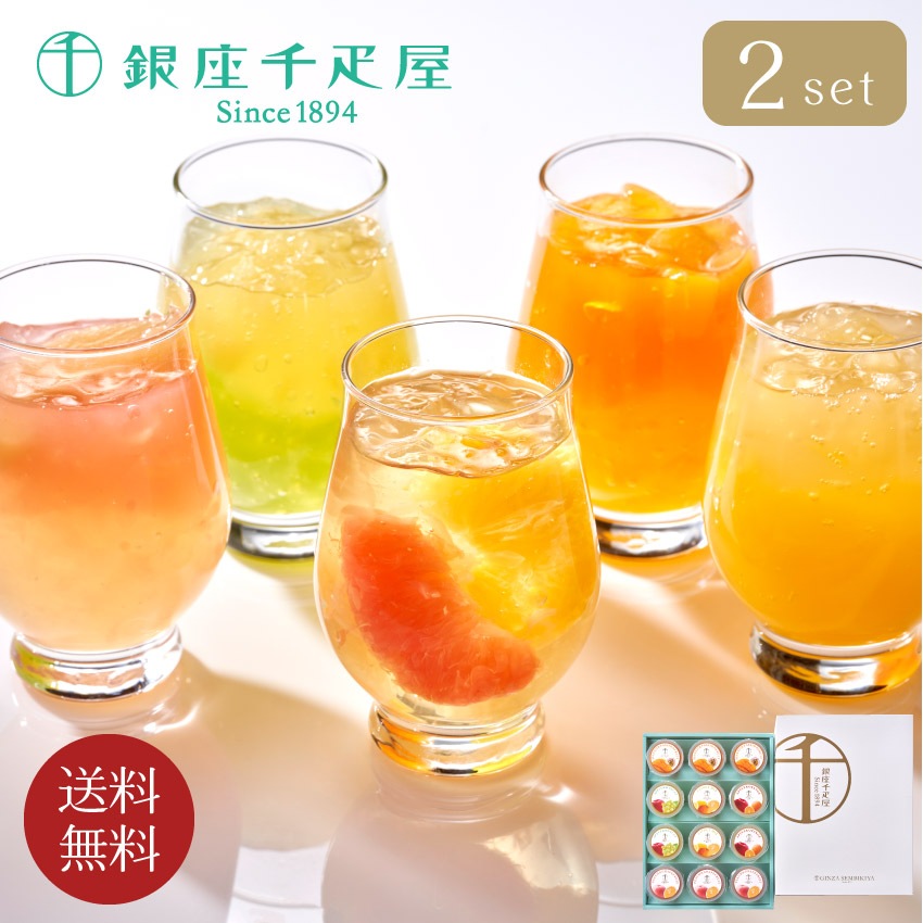 銀座フルーツジュレ2set // お中元 お見舞い ギフト 贈り物 手土産 喪中 残暑見舞い 内祝い お供え お歳暮 お返し プレゼント 記念日 お取り寄せ 出産祝い 御祝 熨斗 食品開発 お菓子