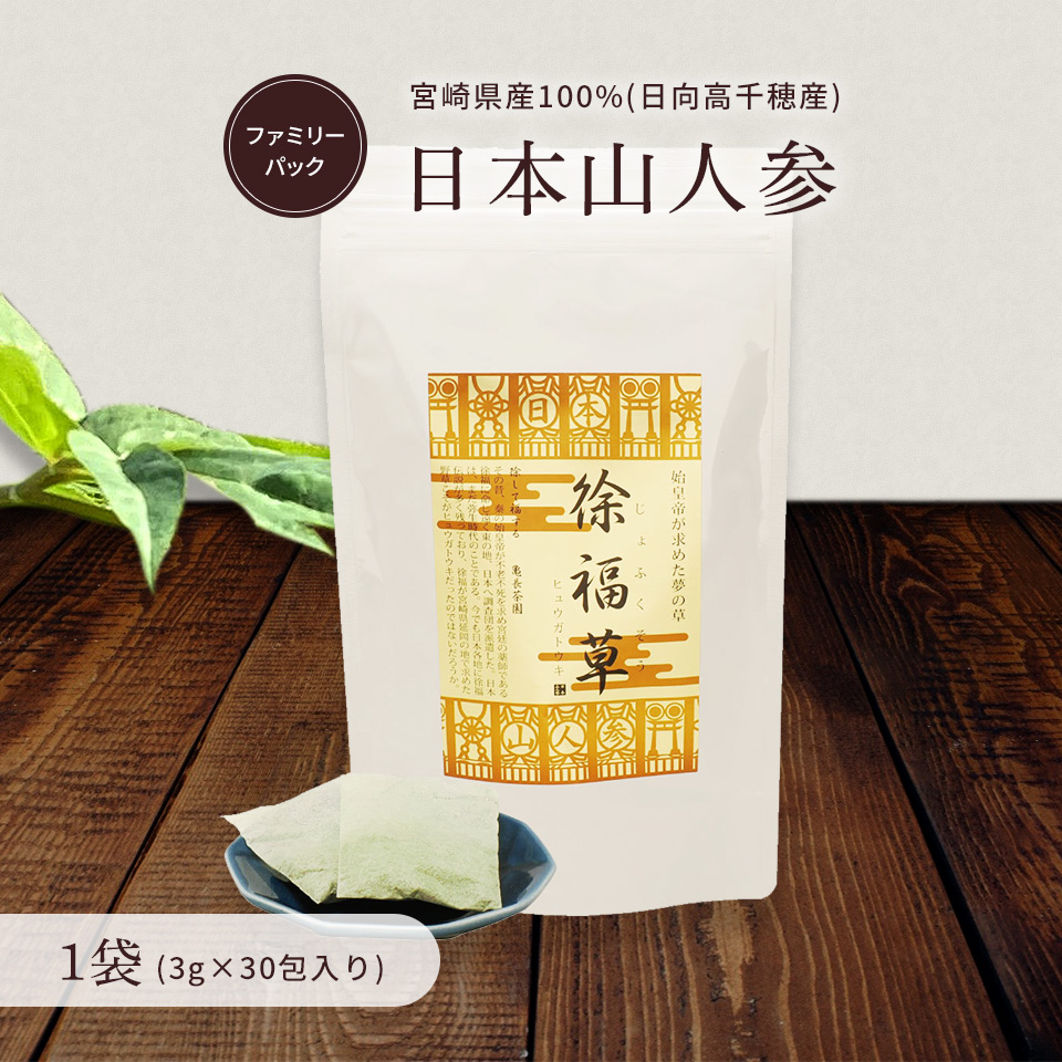 日本山人参【お茶 ファミリータイプ(3g×30包)】1袋 大容量 お徳用 1か月分 ヒュウガトウキ 自社農園 無添加 無農薬 温活 冷房対策 冷え性 血圧 血糖値 健康茶 YN-1