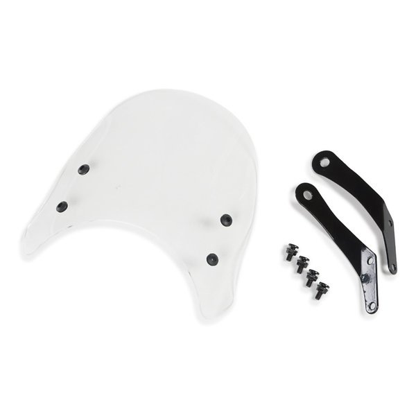 ラリー790 メーターバイザー モンキー125 クリア RY79026CL