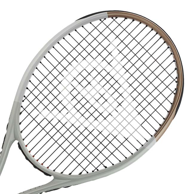 ダンロップ(DUNLOP) 2024 LX800 エルエックス800 (255g) 海外正規品 硬式テニスラケット DS22407グレー×ゴールド(24y8m)NC