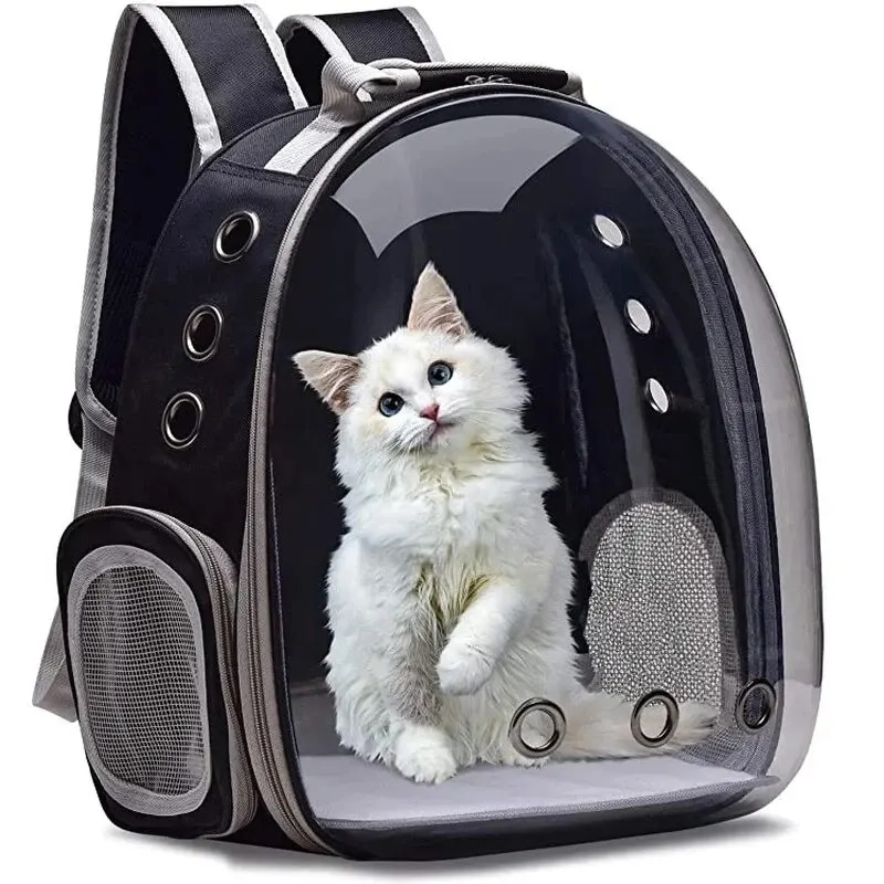 猫ペットキャリアバックパック透明カプセルバブルペットバックパック小型動物子犬キティ鳥通気性ペットキャリア旅行用