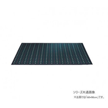 掛川マット十和田 掛川織 い草玄関マット 60x90cm ブラック TSN341235