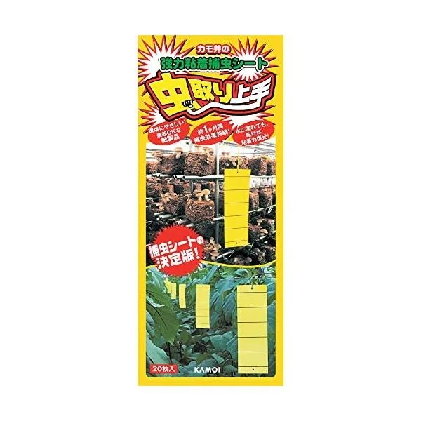 ������� ���F�^�C�v 20����