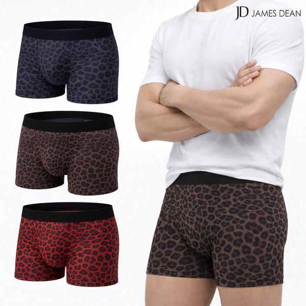 メンズヒョウ柄パンツ ドロワーズパンツ 四角 ファッション ヒョウ柄 ズロース 3枚セット_P415643119