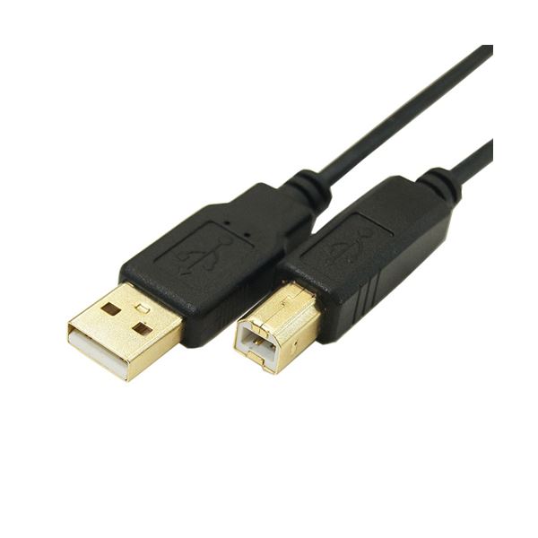 (まとめ)変換名人 極細USBケーブルAオス-Bオス 5m USB2A-B/CA500(×10セット)