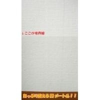 柔らかい 壁紙をキズ汚れから保護するシート 46cmx20m PETP-02RS 壁紙