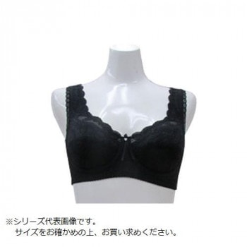 TAMURA シルキーボディシェイプ多機能 フルカップブラジャー YTA04 ブラック 3L