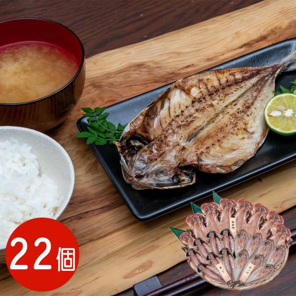 五島灘の塩 干物詰合せ 22尾セット / 国産 冷凍